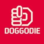 dog_godie 프로필 사진