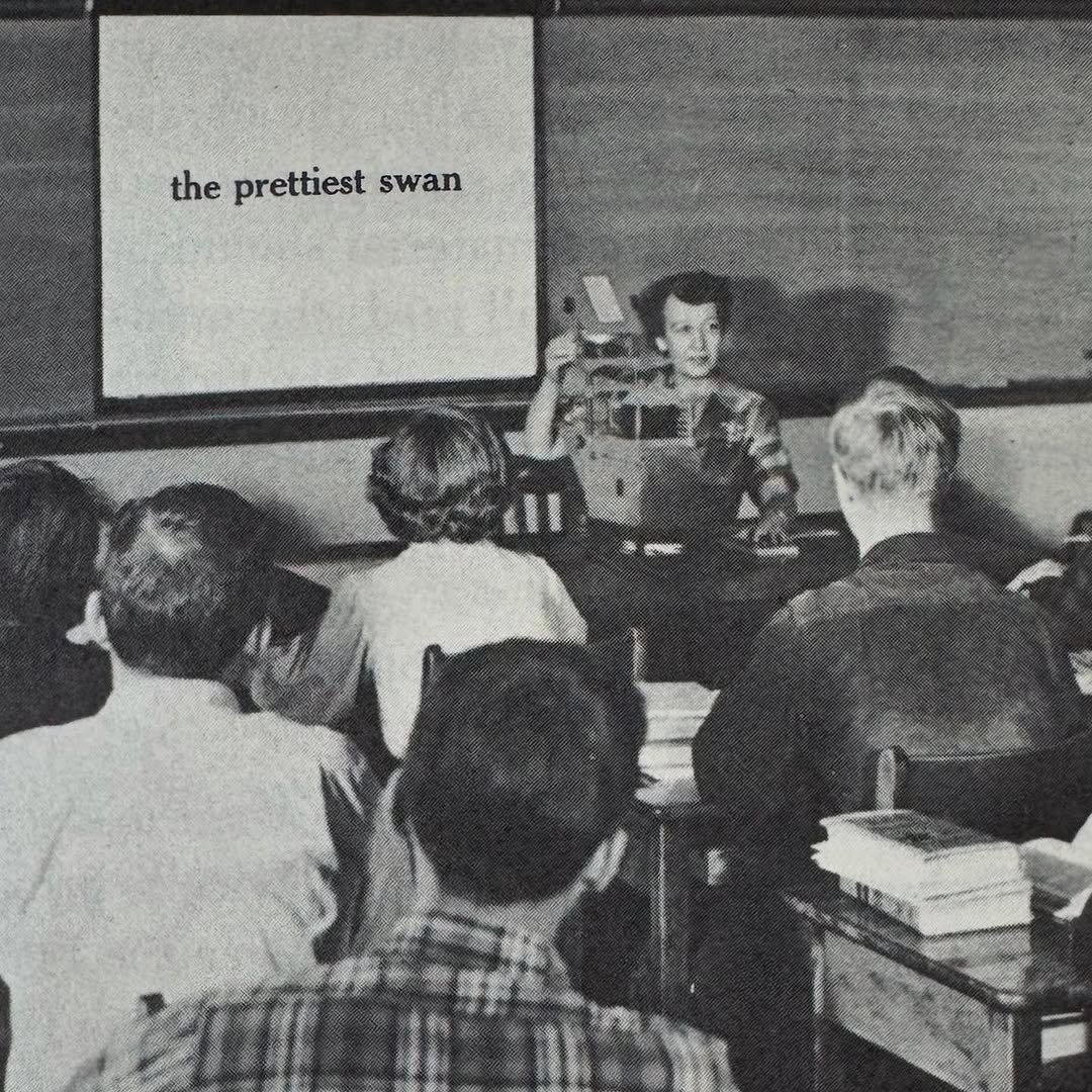 Photo by Micah Lexier on August 11, 2025. May be an image of 5 people, people studying, people standing, newspaper and text that says 'the theprettiestswan prettiest prettiestswa swan'.