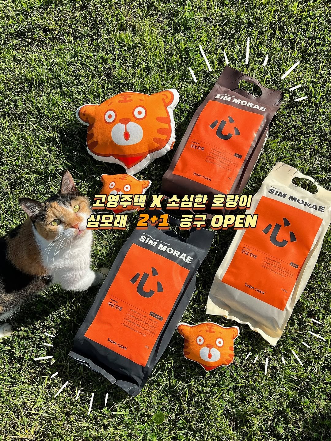 Photo shared by 미카사 | 고영주택 on September 21, 2025 tagging @sosimtiger_official. May be an image of kitten, tea, hand cream, petfood and text.