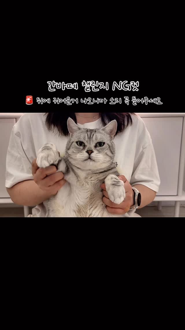 micasa_cats_ 게시물 이미지: 간바레 찐 막막막차 타려다가 NG컷이 치명적이라 대신 올려요

#고영주택...