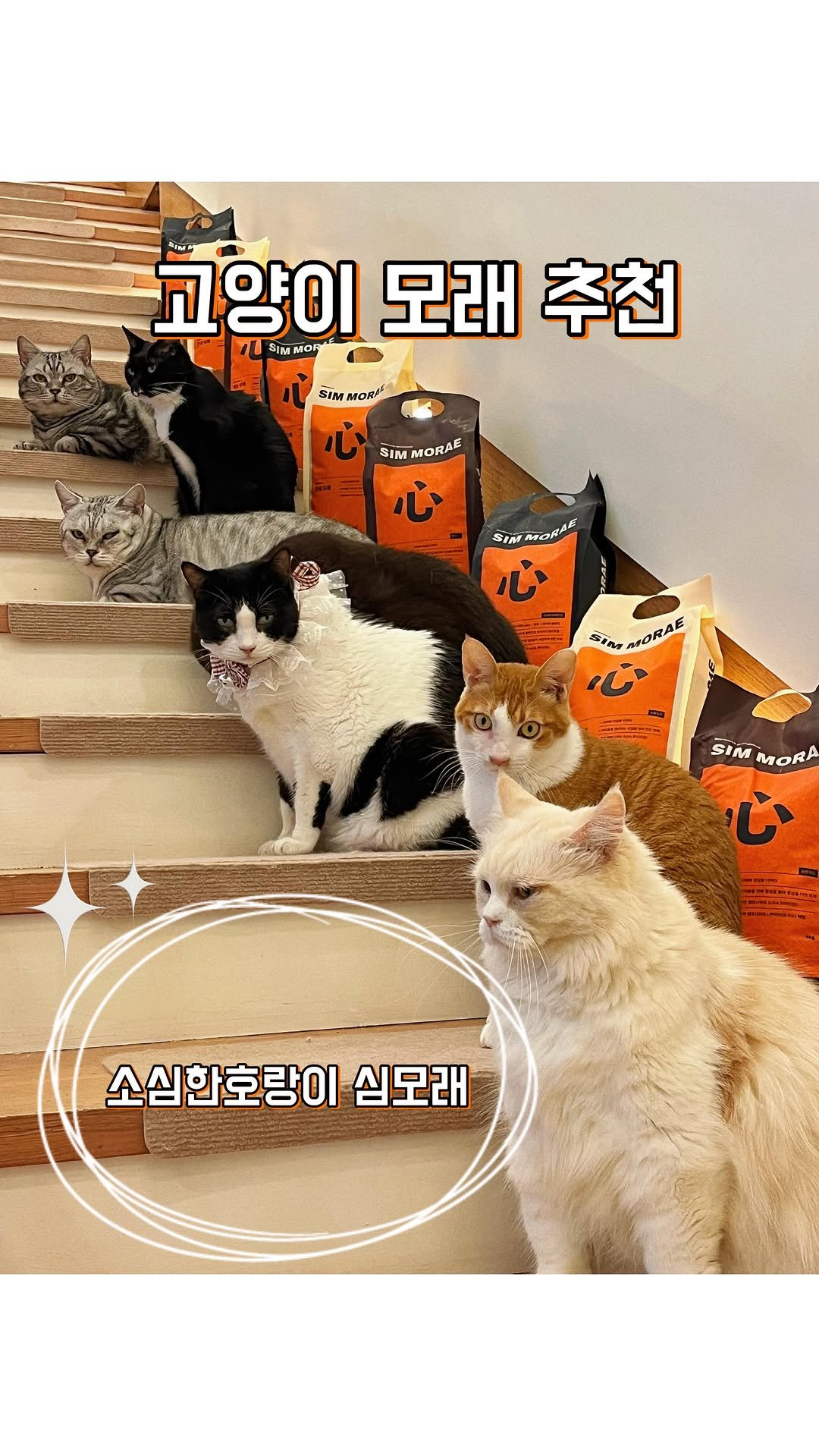micasa_cats_ 게시물 이미지: 소심한호랑이 X 고영주택 심모래 가을맞이 공구가
어제 오픈되었어요 🧡 
공구 기간은...