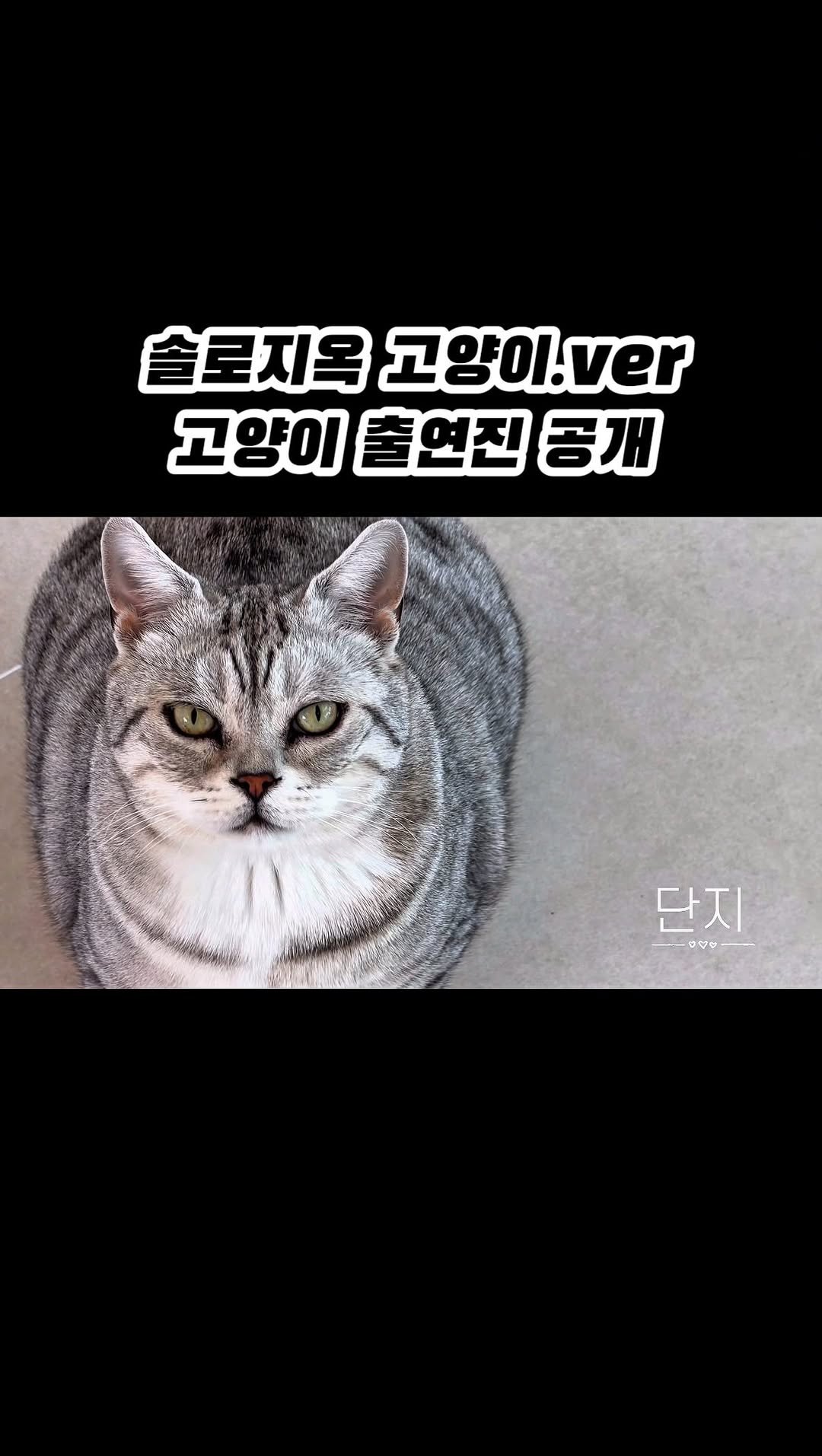 micasa_cats_ 게시물 이미지: 세상에서 가장 핫한 지옥 솔로지옥 고영주택입니다!

#고영주택 #솔로지옥5...