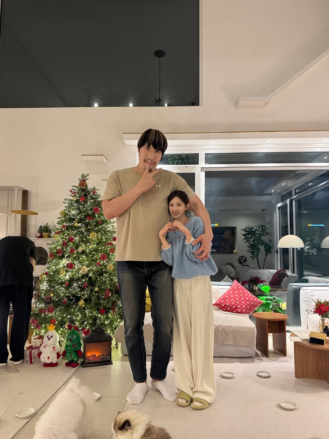 Photo shared by 미카사 | 고영주택 on December 17, 2025 tagging @hae.seoyoung. May be an image of Bedlington terrier, cocker spaniel, christmas tree, tinsel and text.