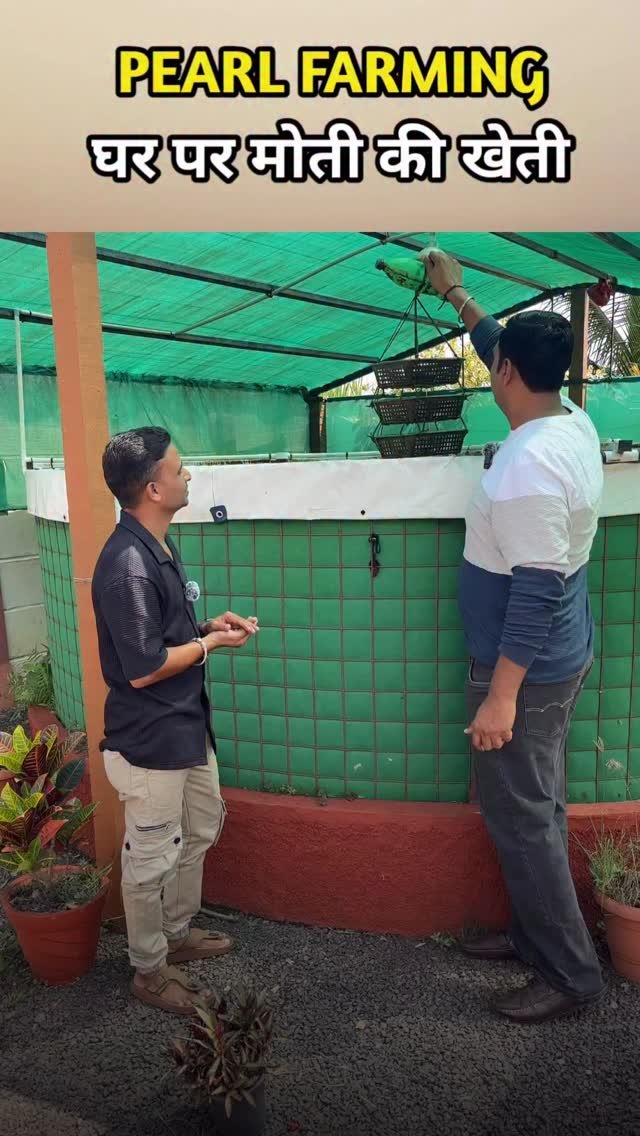 micro.irrigation 게시물 이미지: मोती की खेती 
#microirrigation #pearlfarming...