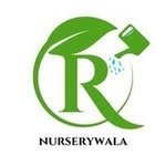 ravizonenurserywala 프로필 사진