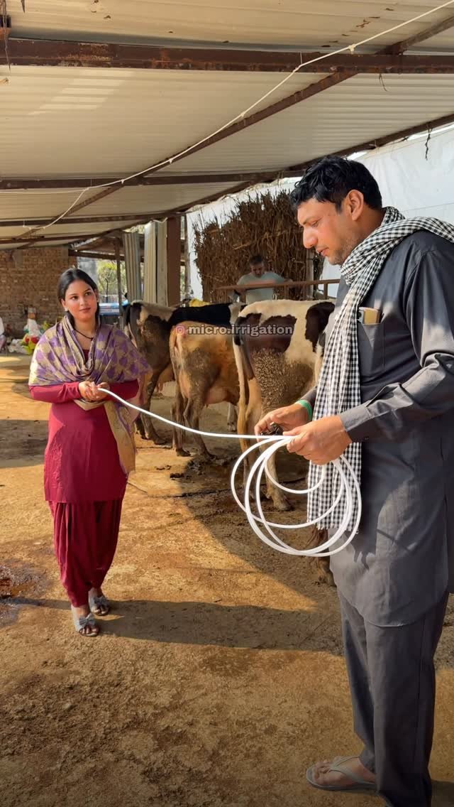 micro.irrigation 게시물 이미지: Fogger For Dairy Farm, Poultry Farm, Open...