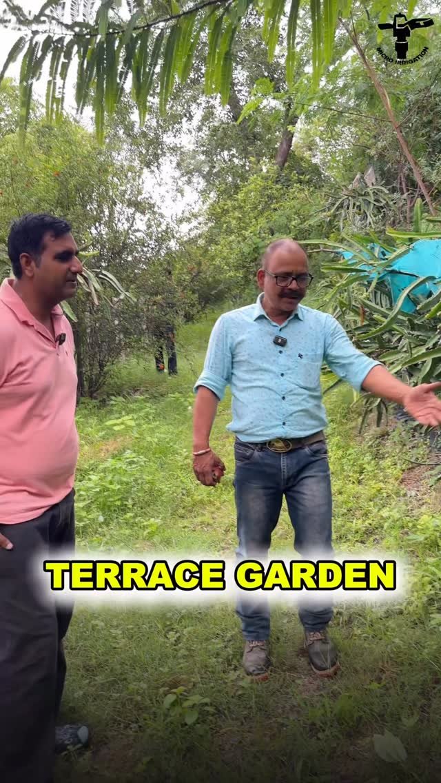 micro.irrigation 게시물 이미지: घर की छत पर भी लगा सकते है ड्रैगन फ्रूट...