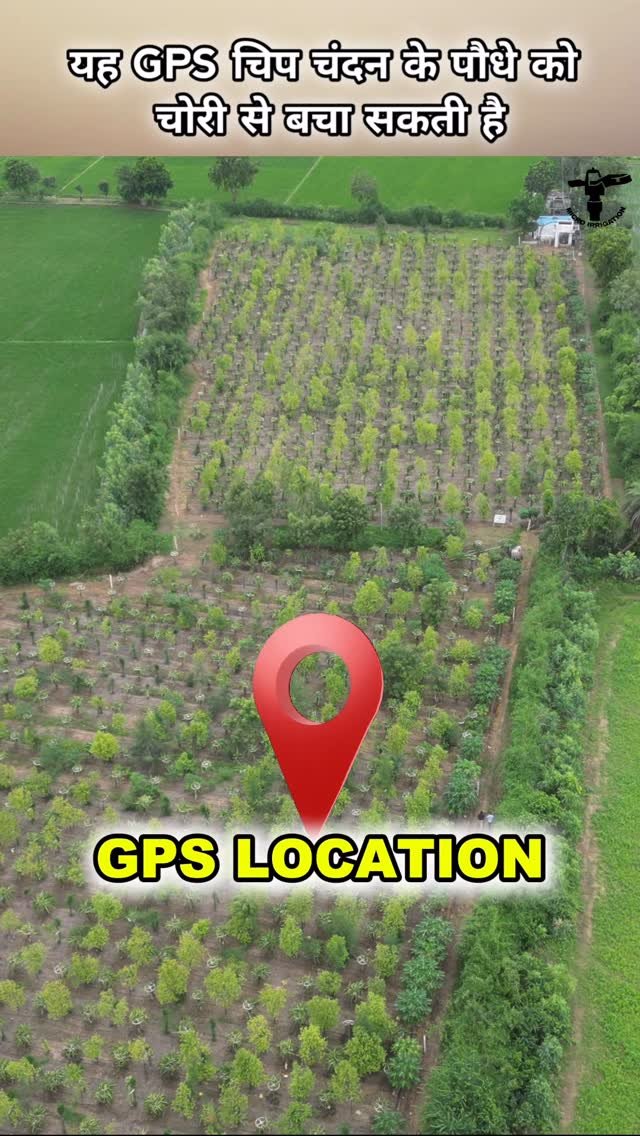 micro.irrigation 게시물 이미지: चंदन के पौधे में GPS चिप 
#microirrigation...