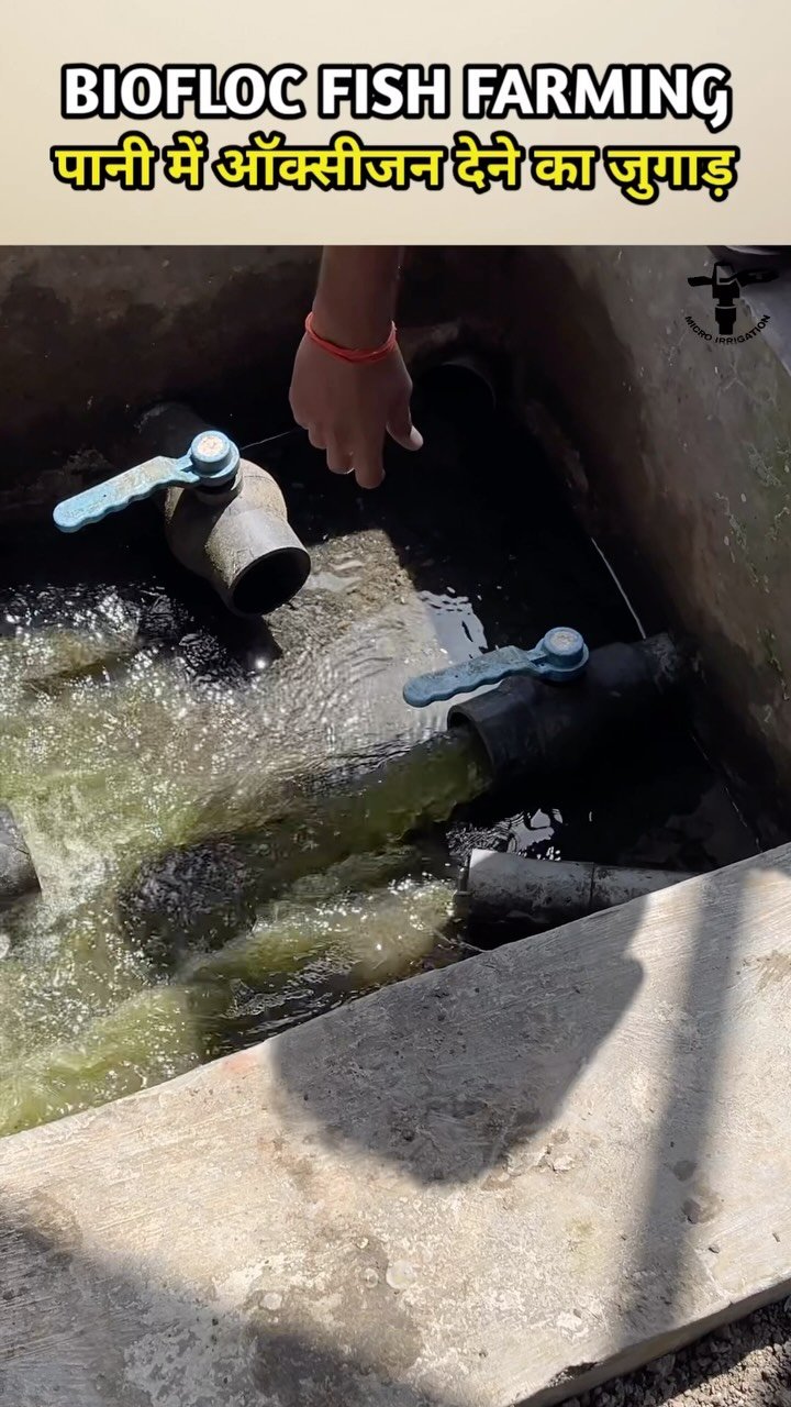 micro.irrigation 게시물 이미지: 7 टैंक से 10 लाख आमदन 
.
Bio Fish Farming ,...