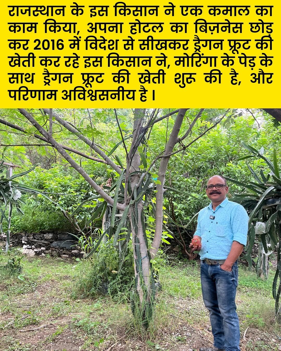 Photo by Micro Irrigation on November 08, 2025. May be an image of standing, tree and text that says 'राजस्थान के इस किसान ने एक कमाल का काम किया, अपना होटल का बिज़नेस छोड़ कर 2016 में विदेश से सीखकर ड्रैगन फ्ूट की खेती कर रहे इस किसान ने, मोरिंगा के पेड़ के साथ ड्रैगन फरट की खेती शुरू की है, और परिणाम अविश्वसनीय है I'.