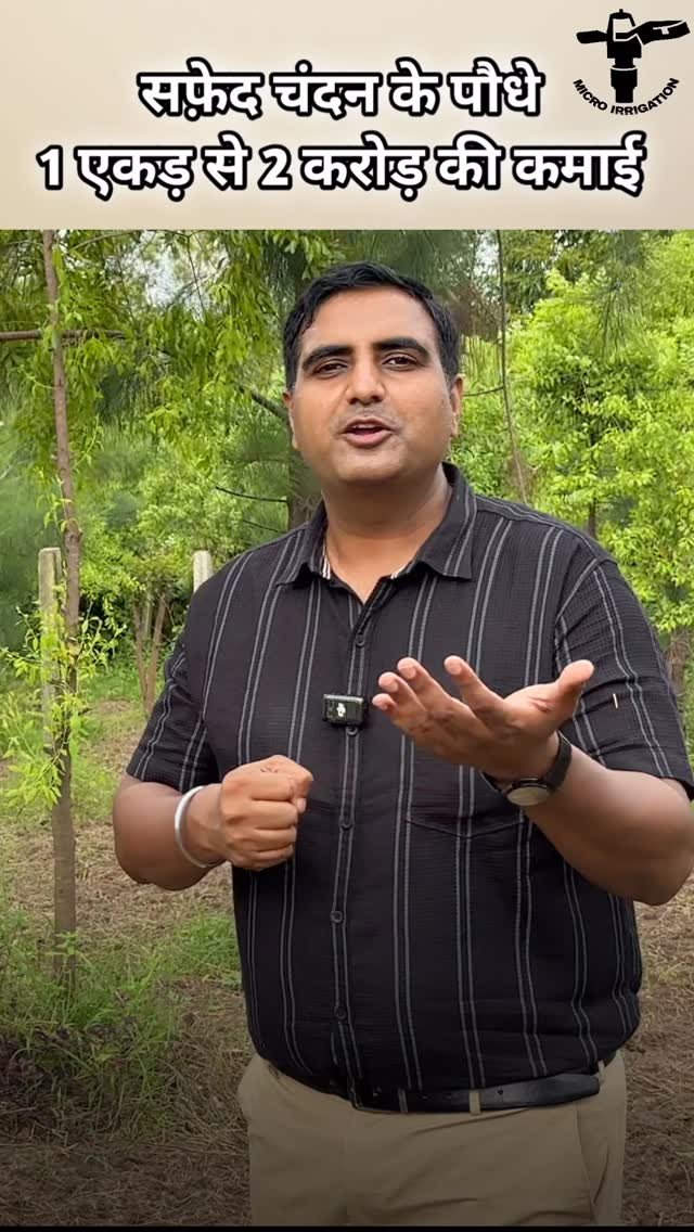 micro.irrigation 게시물 이미지: चंदन की खेती करोड़ो की खेती 
#microirrigation...