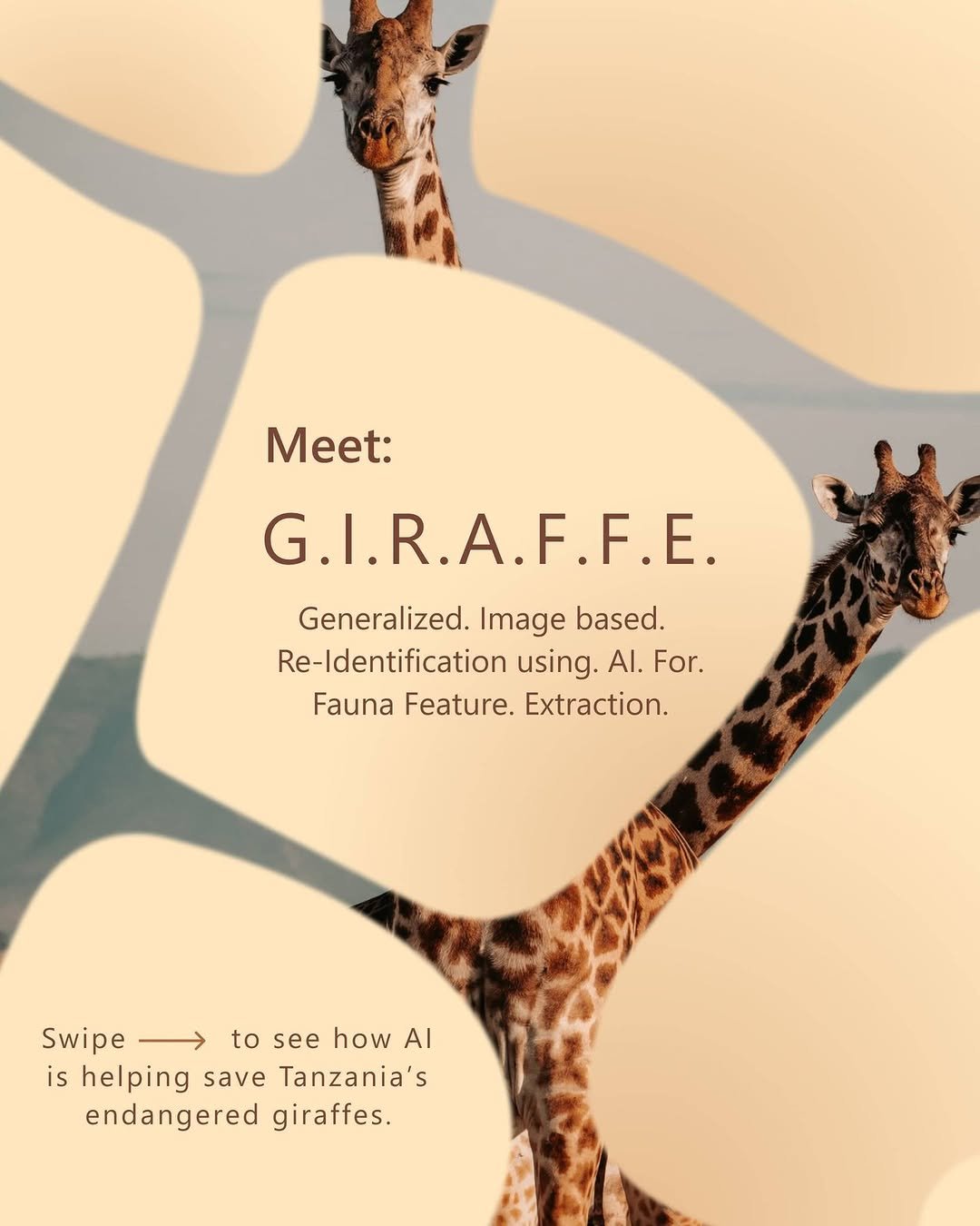 microsoft 게시물 이미지: Big data, big animals, very tall stakes. 🦒