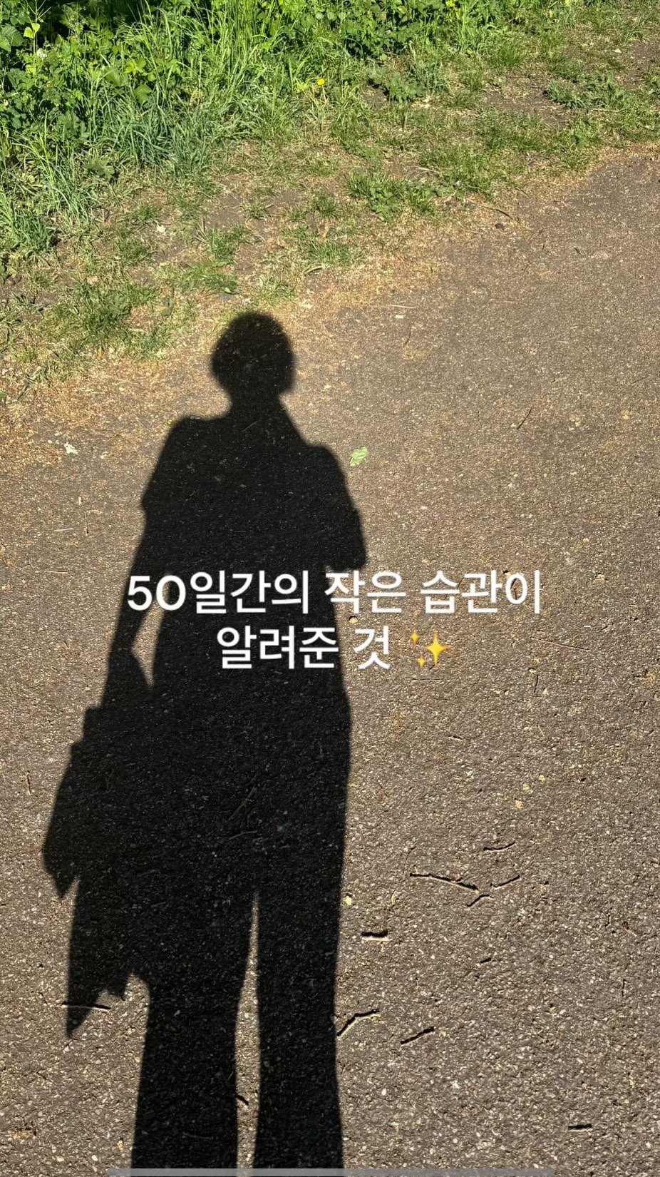 mid_moment_ 게시물 이미지: 🇬🇧 영국 여름, 
대부분의 집에는 에어컨이 없어요.
에어컨 없이도 어떻게든...