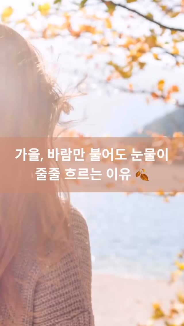 mid_moment_ 게시물 이미지: 가을이 오면 괜히 마음이 촉촉해지죠.
그런데 요즘은…
바람만 불어도 눈물이 줄줄...