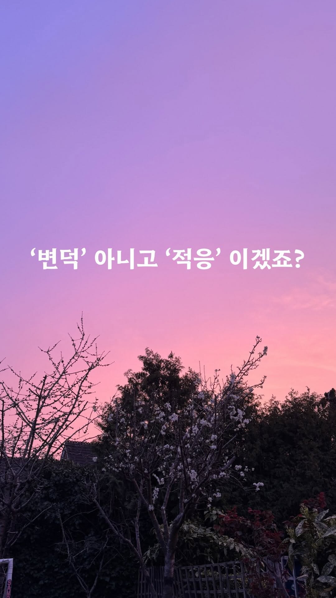 mid_moment_ 게시물 이미지: 괜찮다가 갑자기 지치고,
별일 아닌데 예민해지고,
또 어느 순간은 멀쩡한 것 같아서...