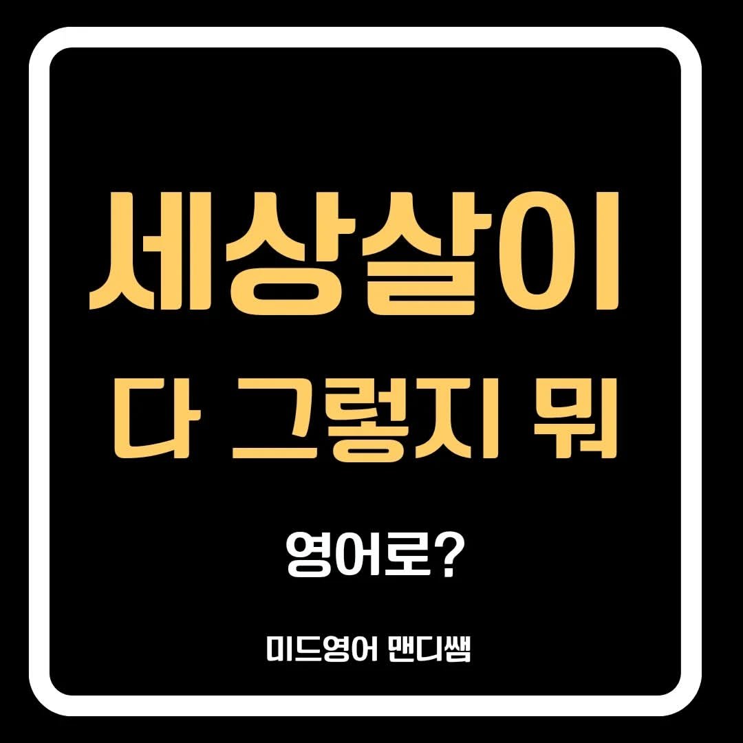 Photo by 미드영어 맨디쌤 on July 18, 2024.