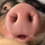 ssin000000 프로필 사진