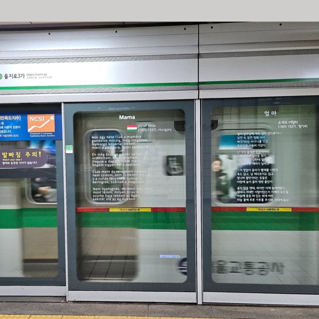 Photo by 문학전문출판사 미행 on January 30, 2025.