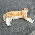 yurimzq 프로필 사진