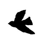 sososa.books 프로필 사진