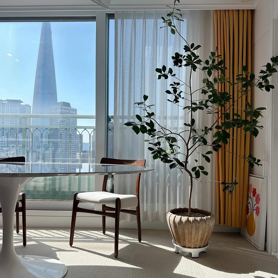 Photo shared by 김미희 on February 29, 2024 tagging @fromsunmi.