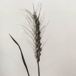 millgun_ 인스타그램 프로필 사진