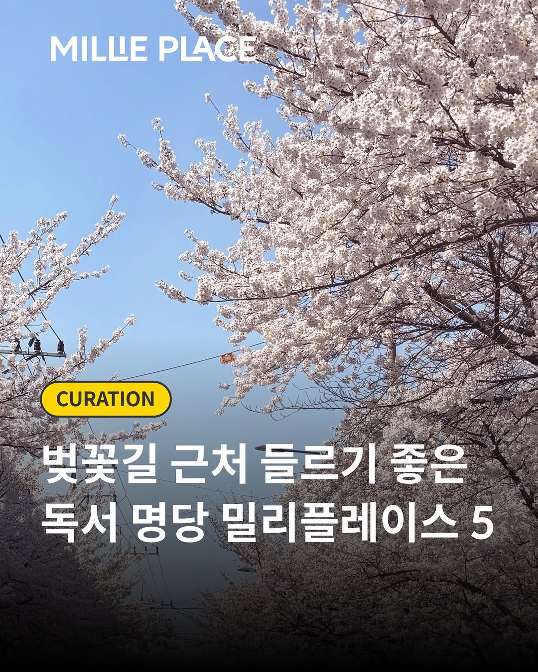 Photo by 밀리의서재 on April 03, 2026. May be an image of poster and text that says 'MILLE PLACE CURATION 벚꽃길 근처 들르기 좋은 독서 명당 밀리플레이스 5'.
