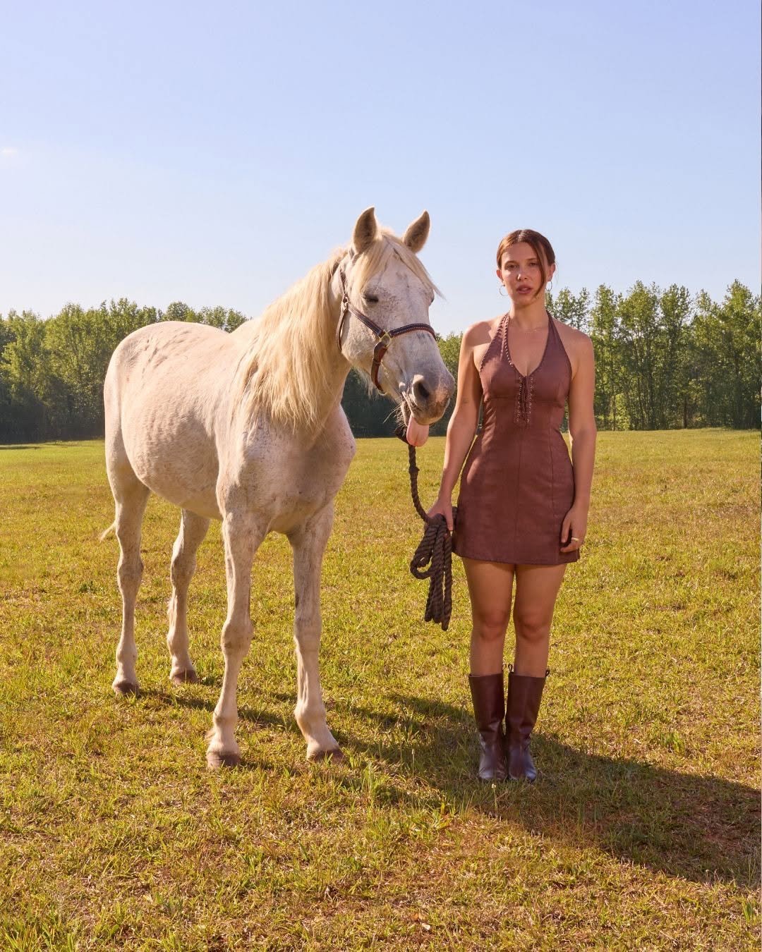milliebobbybrown 게시물 이미지: forever in my horse girl era 🐴🤎✨ countryside...
