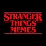 strangerthingsmeems 프로필 사진