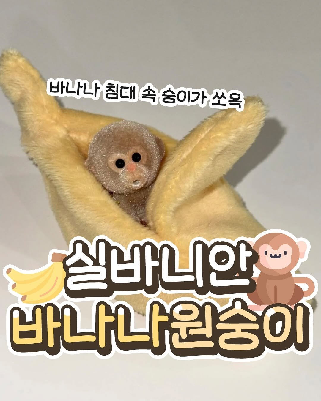 Photo by 요즘MZ밈밈이🕶️ on August 08, 2025. May be an image of banana and text that says '바나나 침대 바나나침대속승이가소 침대속숭이가쏘욱 속 숭이가 쏘옥 실바니안 바나나원숭이'.