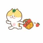 arum2222 프로필 사진