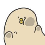 puckpcuk_origamja 프로필 사진