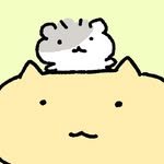 koo9oo 프로필 사진