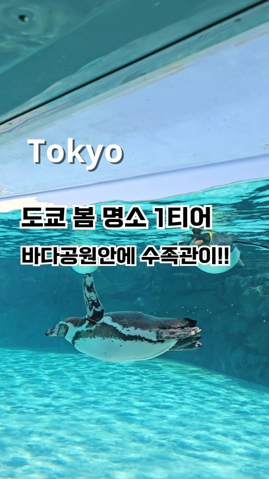 mimmoo_ving 게시물 이미지: 한국인 한명도 없던...진짜 여태껏 봐왔던 공원 중 TOP 1🩷
(유명해지면...