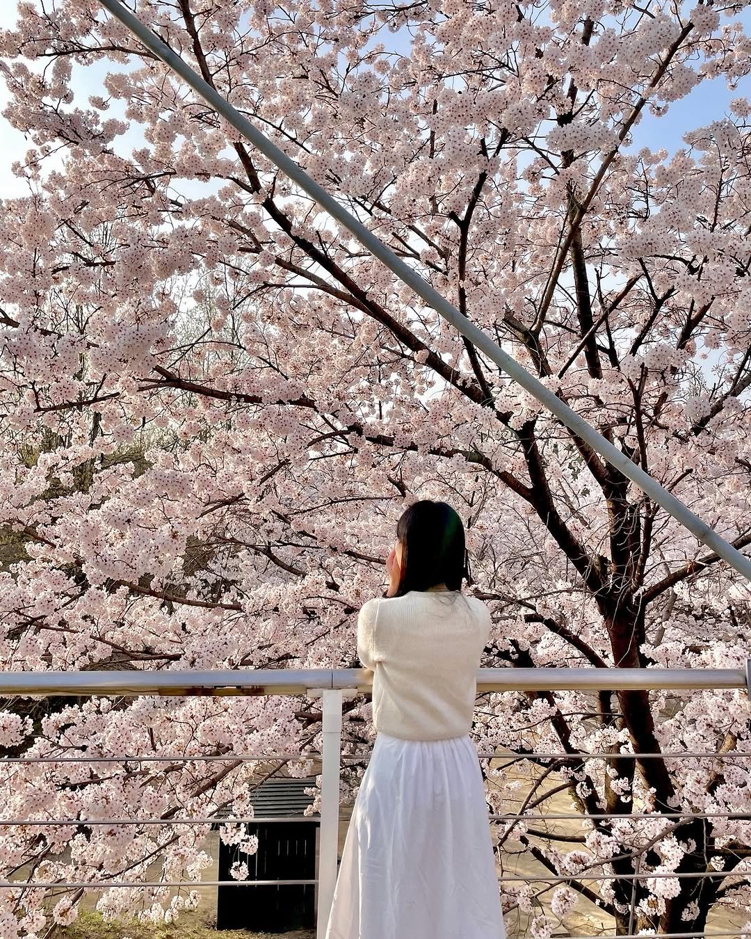 min9ooram 게시물 이미지: 🇰🇷3.1절 기념 아름다운 우리나라의 사계절을 모아🤍

우리나라에는 사계절 아름다운...