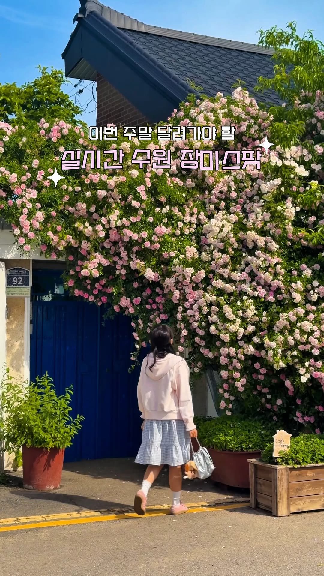 min9ooram 게시물 이미지: 🌷실시간 수원 장미 만개스팟 모음.zip🌹

실시간 오늘(26.05.22) 다녀온...