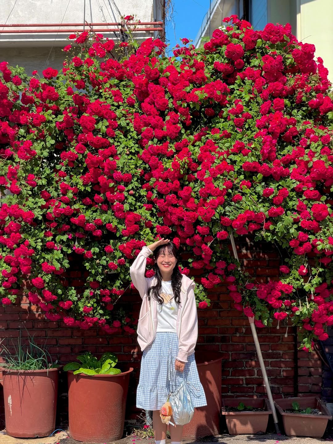 min9ooram 게시물 이미지: 🌹수원은 지금 장미 만개중🫧 이번 주말 달려가세요♥️

실시간...