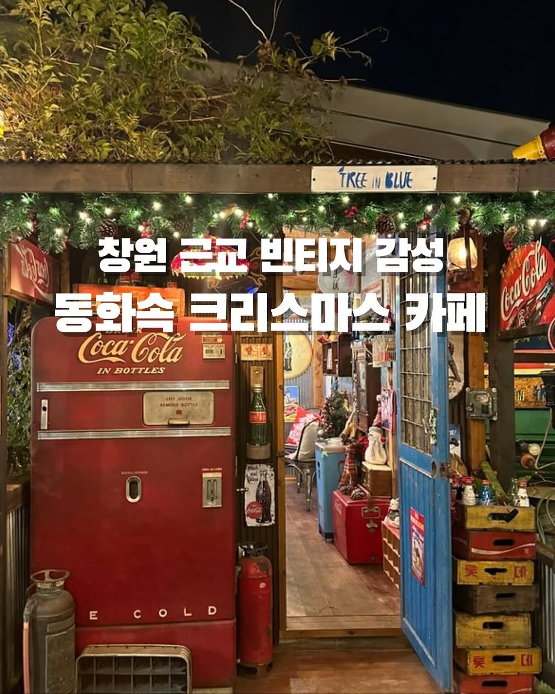 Photo shared by 창원맛집•창원데이트 | 민꾸 on November 02, 2025 tagging @treeinblue. May be an image of ‎signboard and ‎text that says '‎TREEINBLUE TREE| BLUE 창원급교 근교 빈티지 감성화 창원 동화속 화속크리스마스카 스마스 wabl 카페 تر - Mi INBOTTLES IN REWOVE KoTK 0 E COLD 天一团 롯스데‎'‎‎.
