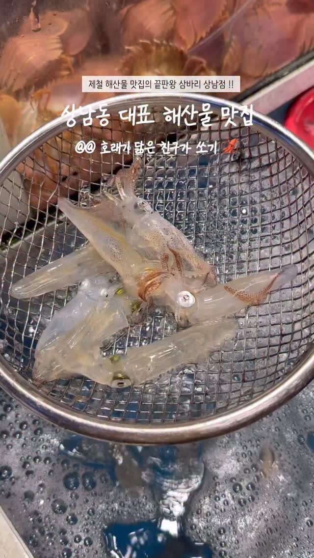 min_koo_1 게시물 이미지: 믿고 먹는 상남동 대표 제철 해산물 맛집 ‘삼바리 상남점‘

상남동 해산물 맛집을...