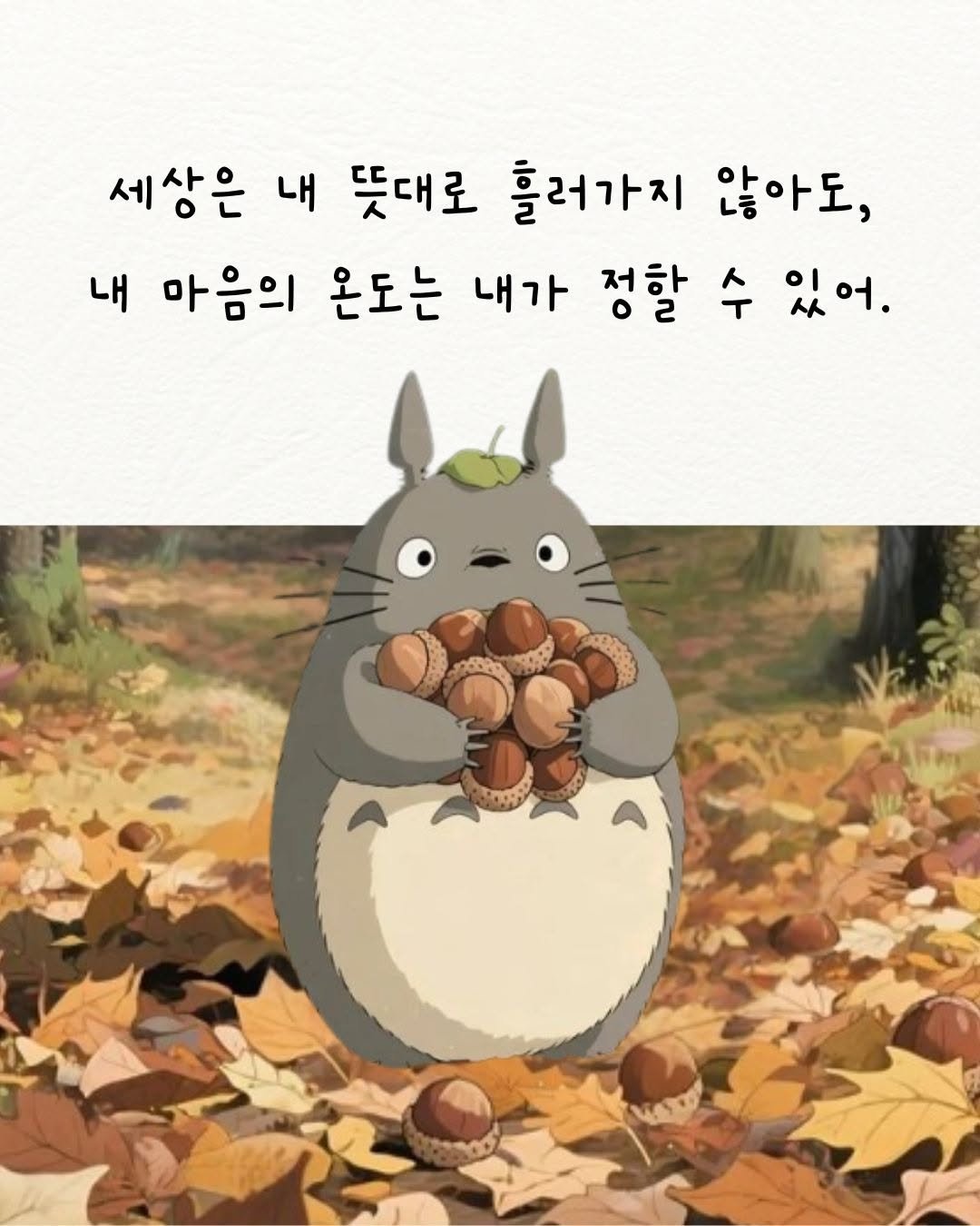 Photo by 매일토닥 on November 08, 2025. May be an illustration of text that says '세상은 내 뜻대로 틀러가지 않아도, 내 내 마음의 온도는 내가 정할 수 있어.'.