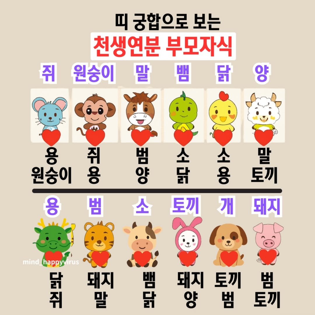 Photo by 좋은글/마인드 업/마인드해피바이러스 on August 12, 2025. May be a doodle of text that says '띠 궁합으로 보는 천생연분 부모자식 쥐 원승이말닭 뱀 원승이 말 點 양 용 쥐 원숭이 시호 용 뽀이양 양 범 술 닭 소 소 말 용 토끼 용 용범토끼개지 개 범 소 토끼 돼지 mind happyvirus irus 耳耳 닭 돼지 쥐 말 마구 뱀 돼지 토끼 범 범 토끼'.