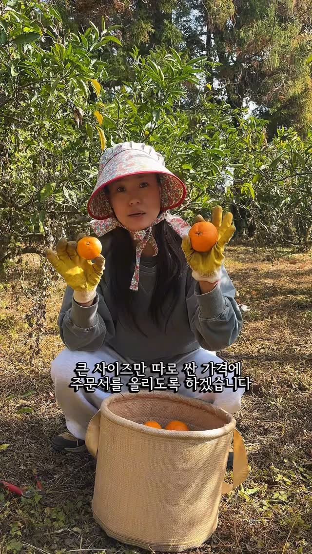 mindful_chae 게시물 이미지: 마감되었습니다! 🙏🏻

=======================
 
오늘 귤...