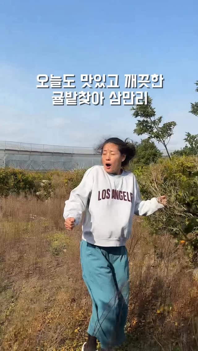 mindful_chae 게시물 이미지: 오늘도 제주도 바람은
골이 흔들릴 정도로 세차게 불지만
나의 열정을 막을 수는...