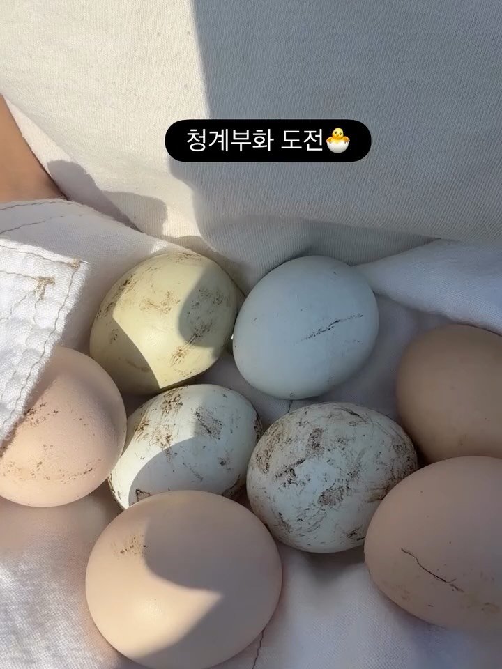 mindful_chae 게시물 이미지: 아무리 생각해도 심각하게 즉흥적인
ENFP인 내가 난 너무 좋아😆

머릿속에 갑자기...