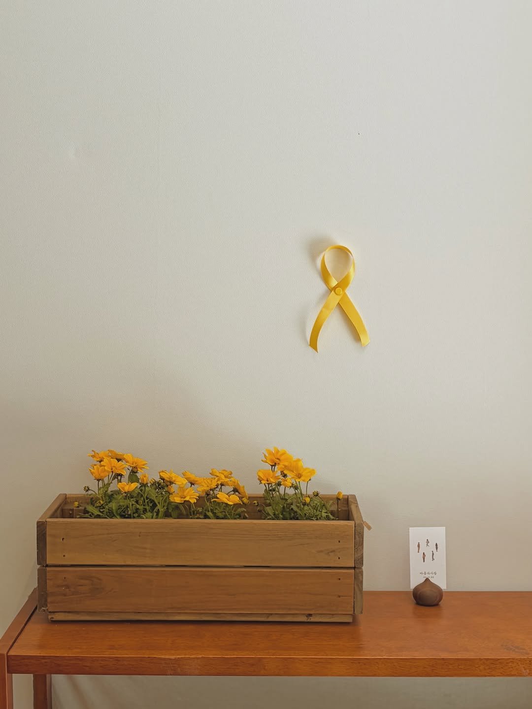 mindnpeople 게시물 이미지: _ 🎗️2026.04.16.

오늘은 세월호 참사 12주기이자, 마음과사람이 문을...