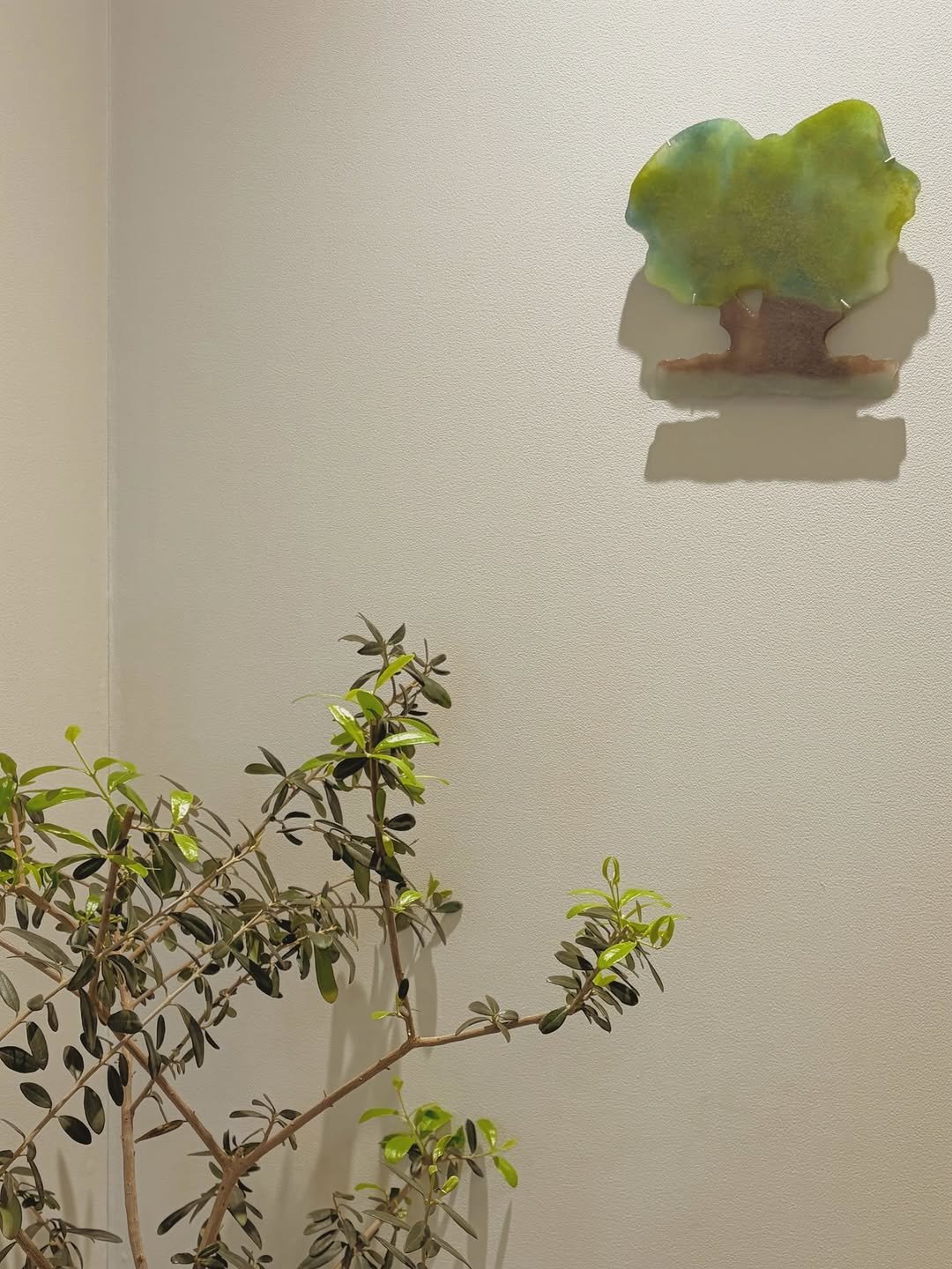mindnpeople 게시물 이미지: _
마음과사람에서 혹독한 겨울을 몇 해나 보내주고 있는 올리브 나무. 처음 만났을...