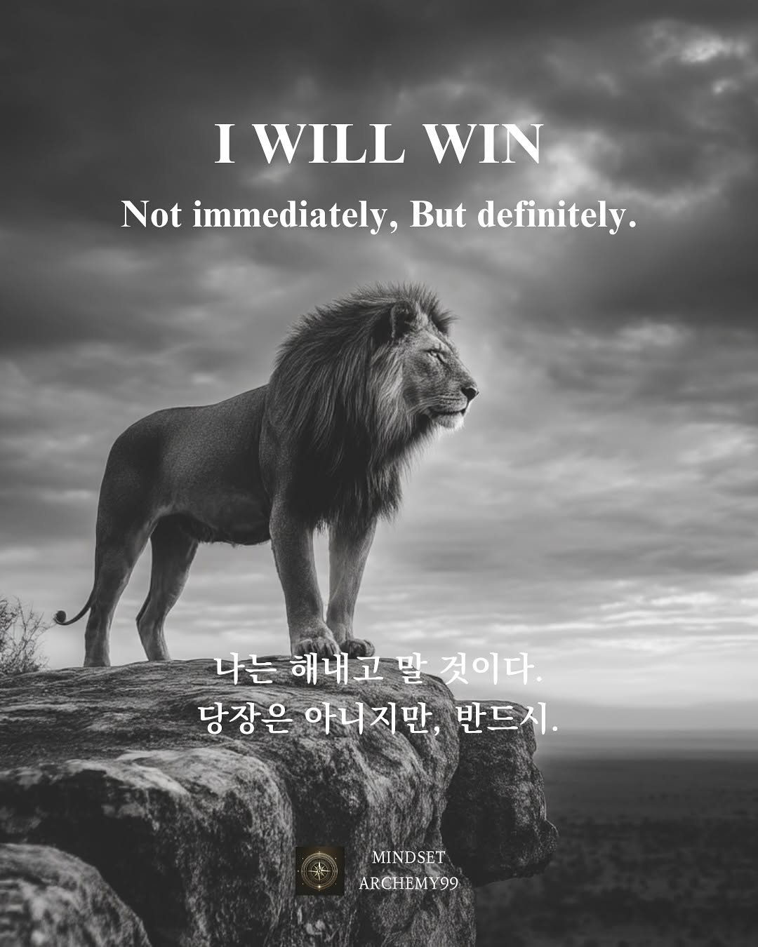 Photo by 마인드셋 연금술 on September 17, 2025. May be an image of lion, poster and text that says 'I WILL WIN Not immediately, But definitely. 나는 해내고말 나는해내고말것이 것이다. 당장은 은 아니지만, 반드시. MINDSET ARCHEMY99'.
