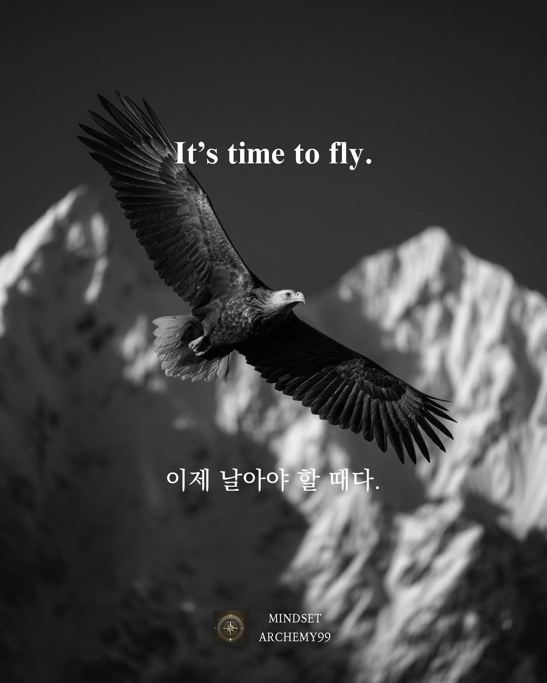 Photo by 마인드셋 연금술 on September 28, 2025. May be an image of vulture, eagle, falcon, poster and text that says 'It's It'stimtofly. time to timetofl to fly. 이제 날아야 할 때다. MINDSET ARCHEMY99 99'.