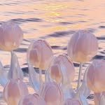han_bok0825 프로필 사진
