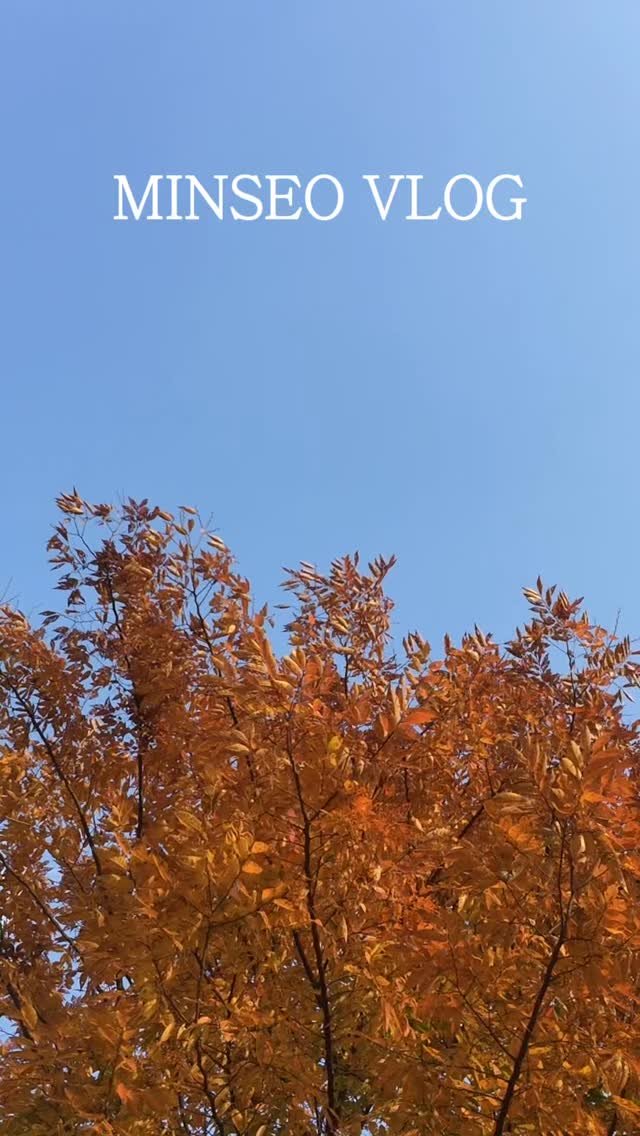 ming1ook 게시물 이미지: 행복의 역치가 낮은 사람

#일상vlog #휴학생의하루 #대학생의하루 #키큰녀코디 #대학생코디추천